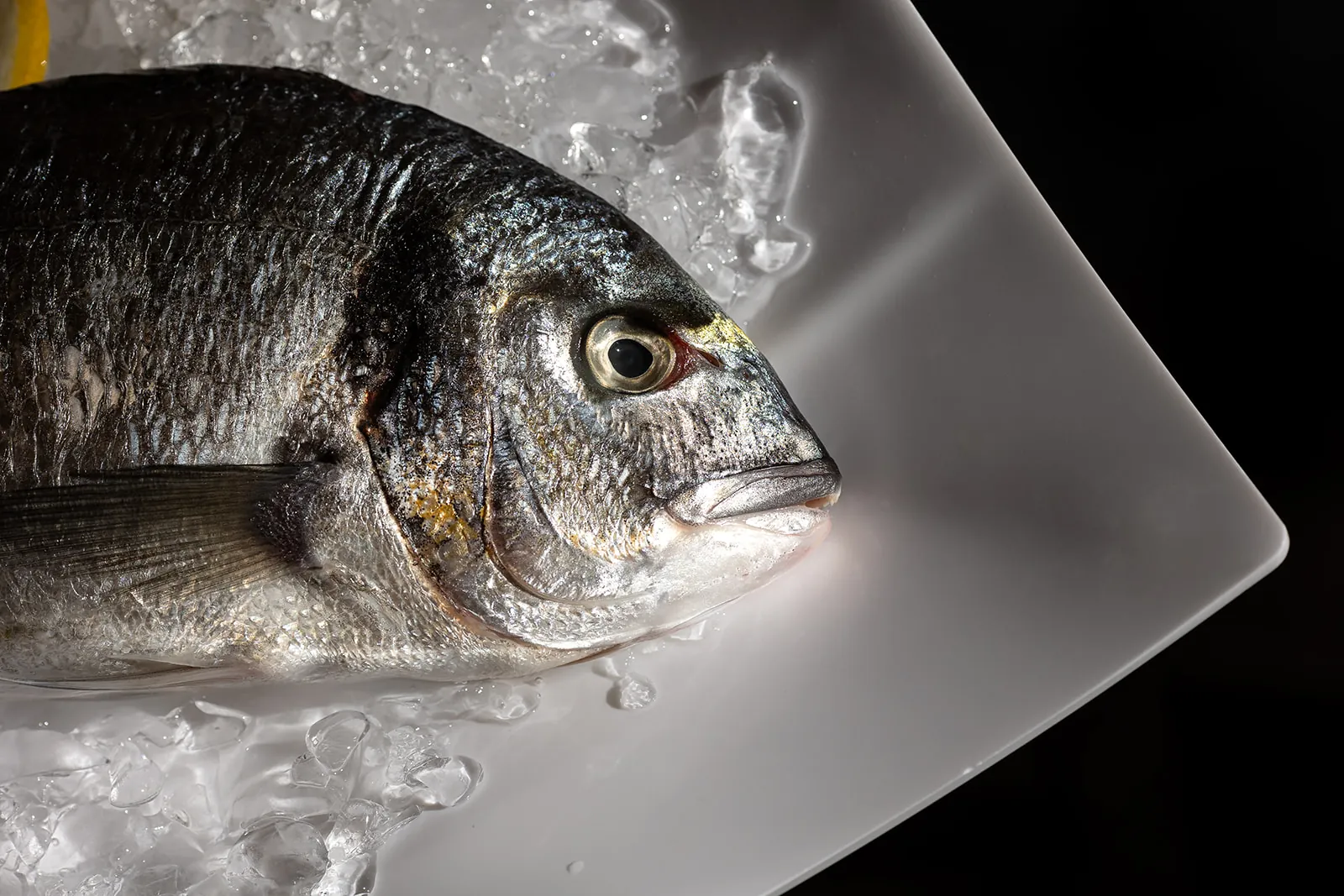 Pesce fresco su ghiaccio